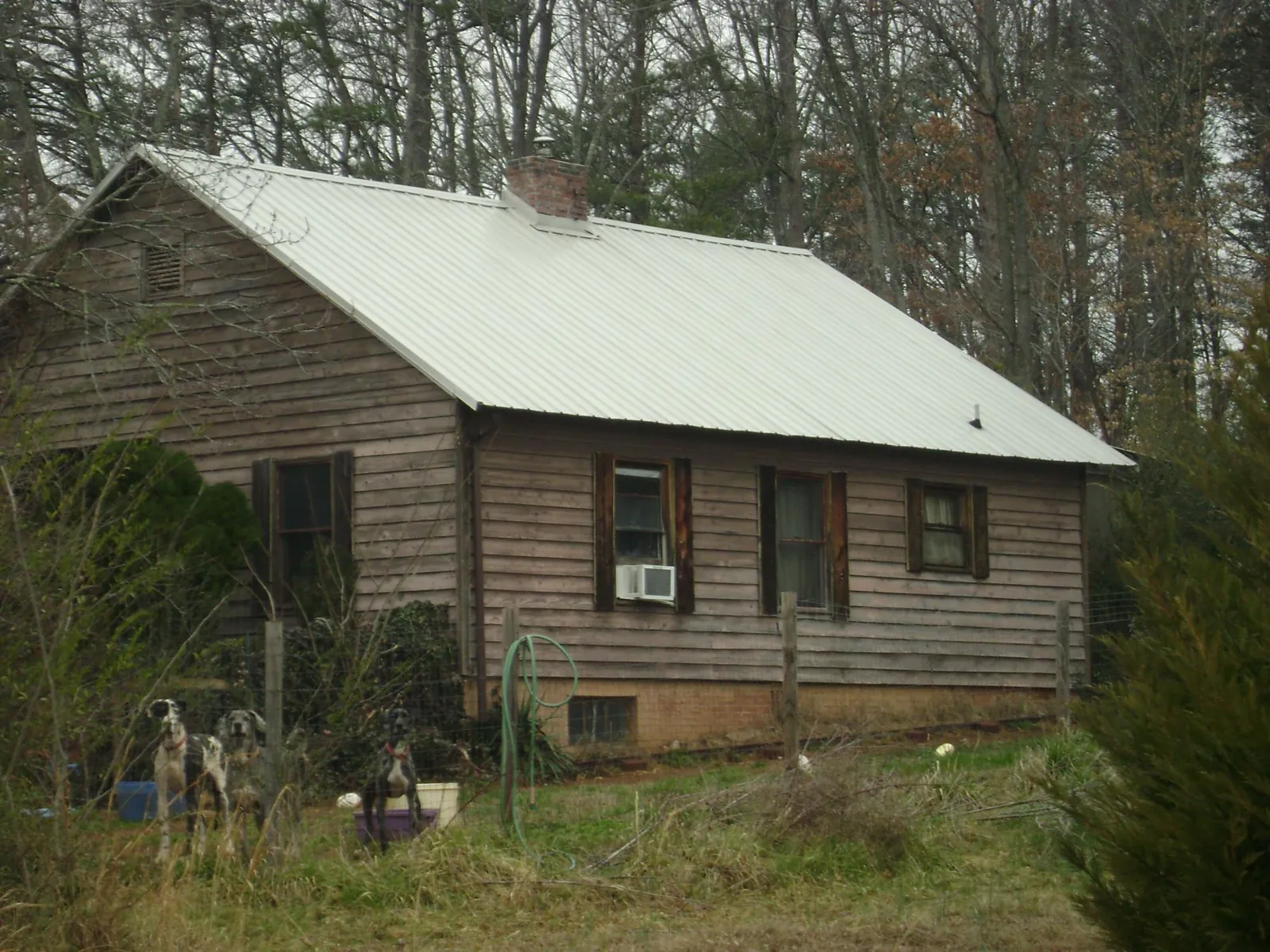 White metal roof on an old wood sided farmhouse, from a Asphalt Shingle Roof Repair job in Banco